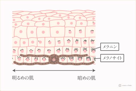 乳首の黒ずみの原因とは？ピンク色にする治療や対策を紹介